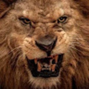 Meet your Posher, Pam